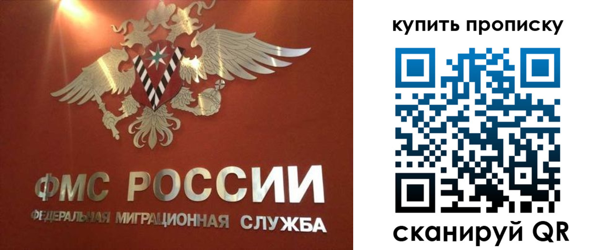 прописка для работы в Рошале